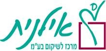הלוגו של nyfe.