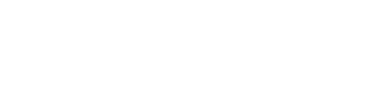 הלוגו של leviso בעברית.